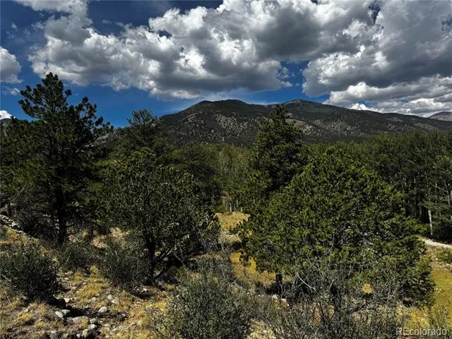 17520 County Road 306 Buena Vista, CO 81211