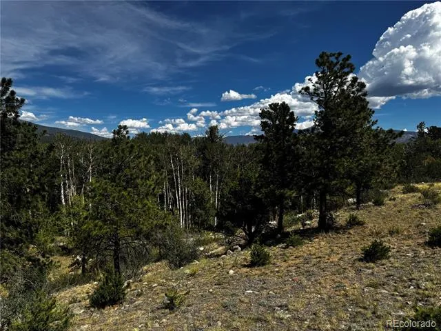 17520 County Road 306 Buena Vista, CO 81211
