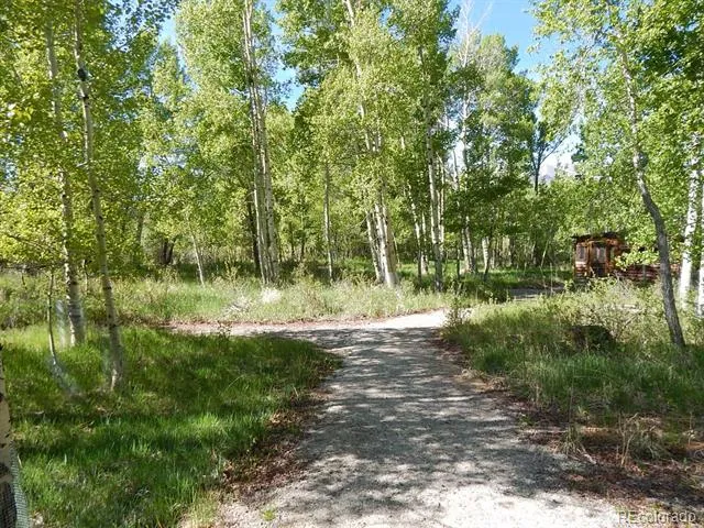 17520 County Road 306 Buena Vista, CO 81211