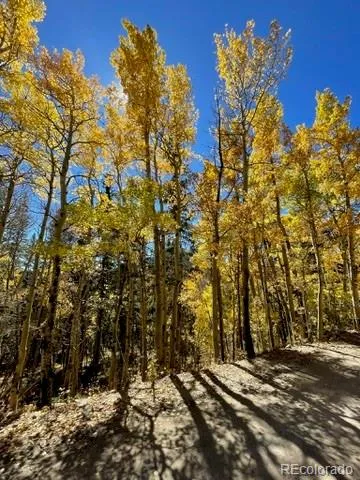 37 Mountain View Drive Fairplay, CO 80440