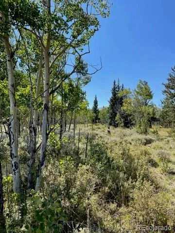 37 Mountain View Drive Fairplay, CO 80440