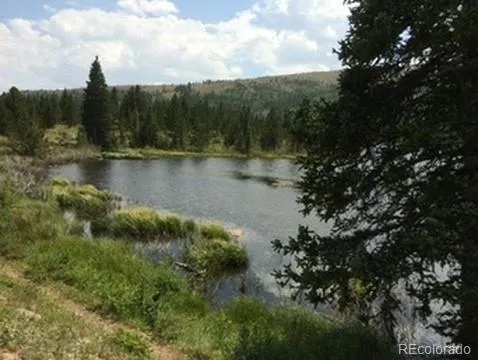 37 Mountain View Drive Fairplay, CO 80440