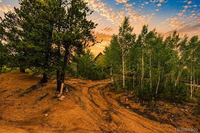 229 Mcdougal Road Bailey, CO 80421