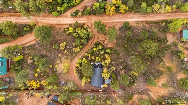 229 Mcdougal Road Bailey, CO 80421