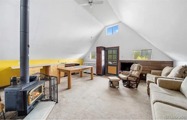 229 Mcdougal Road Bailey, CO 80421