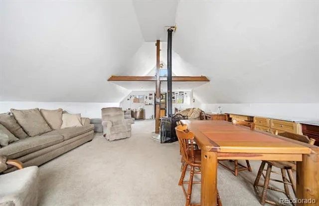 229 Mcdougal Road Bailey, CO 80421