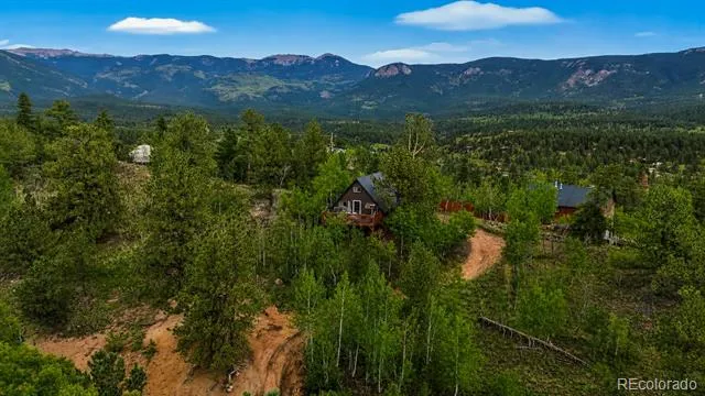229 Mcdougal Road Bailey, CO 80421