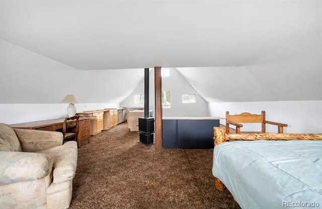 229 Mcdougal Road Bailey, CO 80421