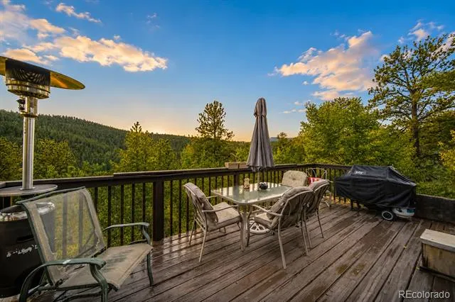 229 Mcdougal Road Bailey, CO 80421