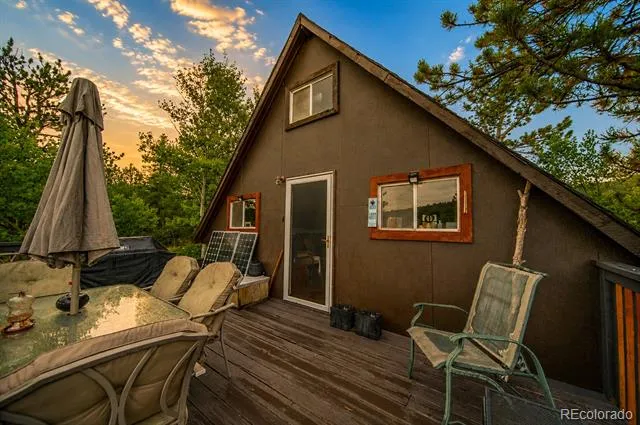 229 Mcdougal Road Bailey, CO 80421