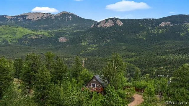 229 Mcdougal Road Bailey, CO 80421