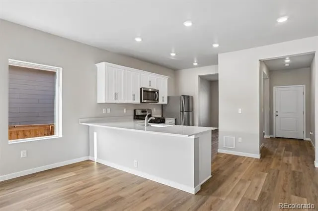 971 Cascade Falls Street Severance, CO 80550