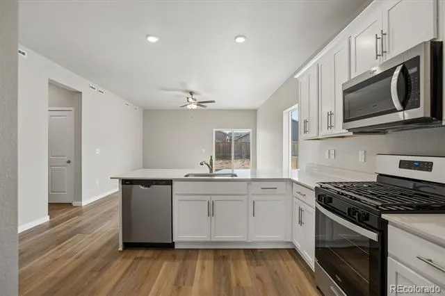 971 Cascade Falls Street Severance, CO 80550