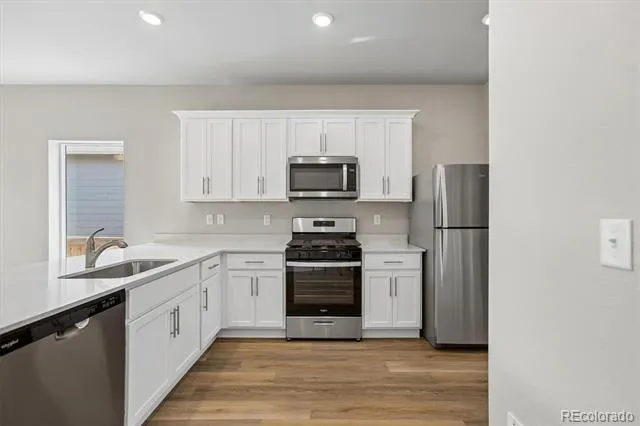 971 Cascade Falls Street Severance, CO 80550