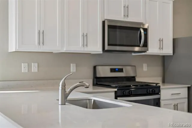 971 Cascade Falls Street Severance, CO 80550