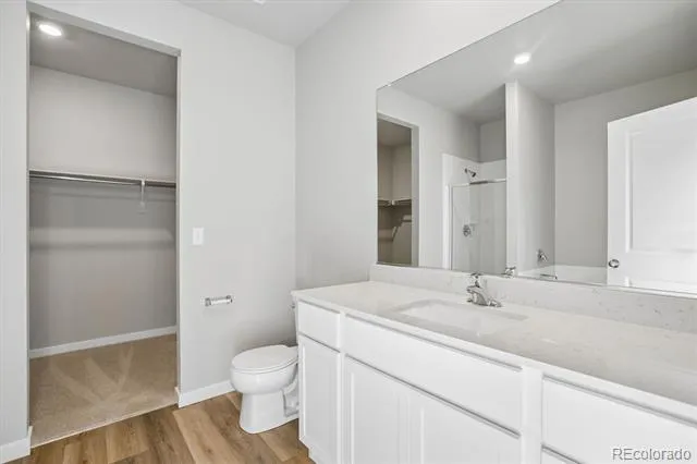 971 Cascade Falls Street Severance, CO 80550