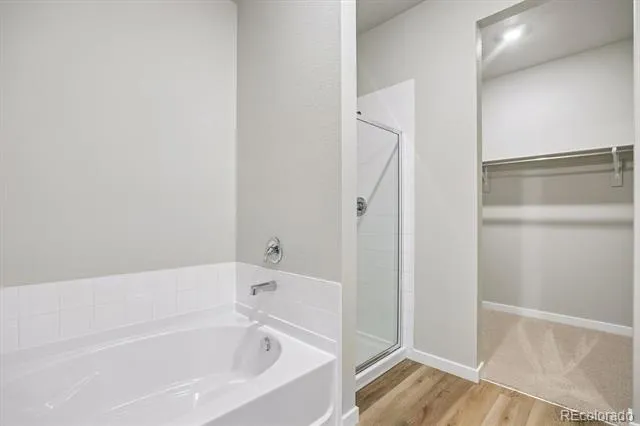 971 Cascade Falls Street Severance, CO 80550