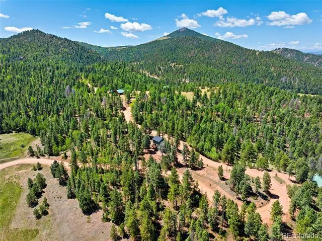 475 Crystal Drive Cripple Creek, CO 80813