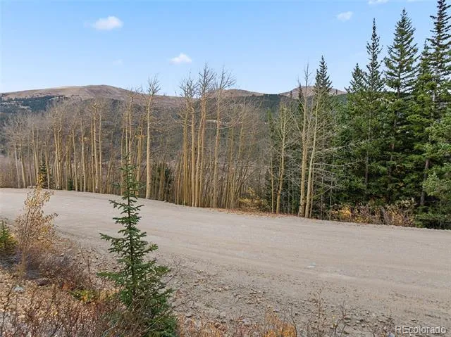 Tract B Roberts Road Alma, CO 80420