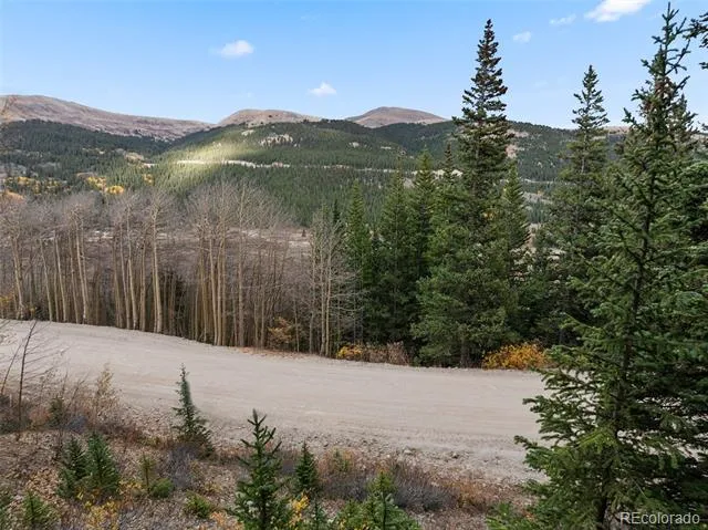 Tract B Roberts Road Alma, CO 80420