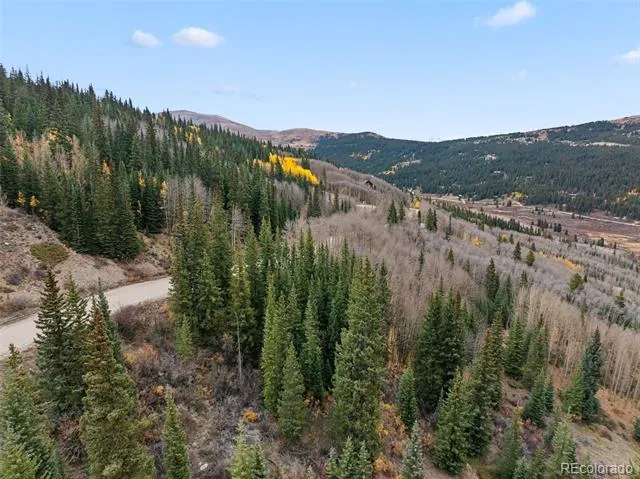 Tract B Roberts Road Alma, CO 80420