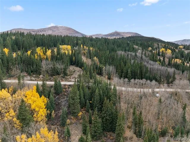 Tract B Roberts Road Alma, CO 80420