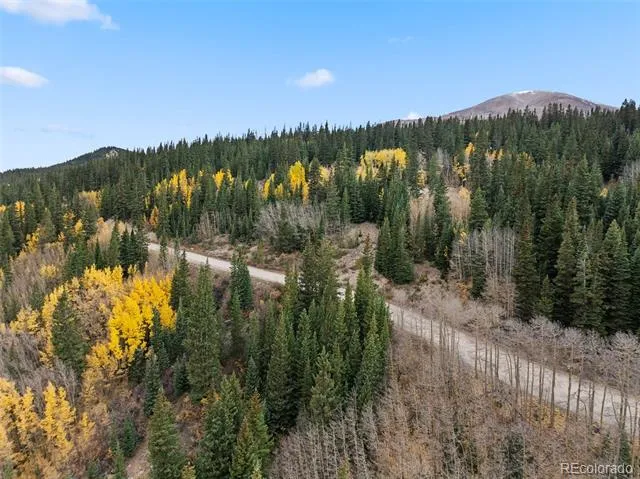 Tract B Roberts Road Alma, CO 80420