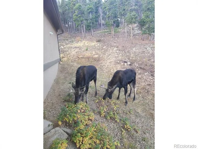 800 Divide View Drive Golden, CO 80403