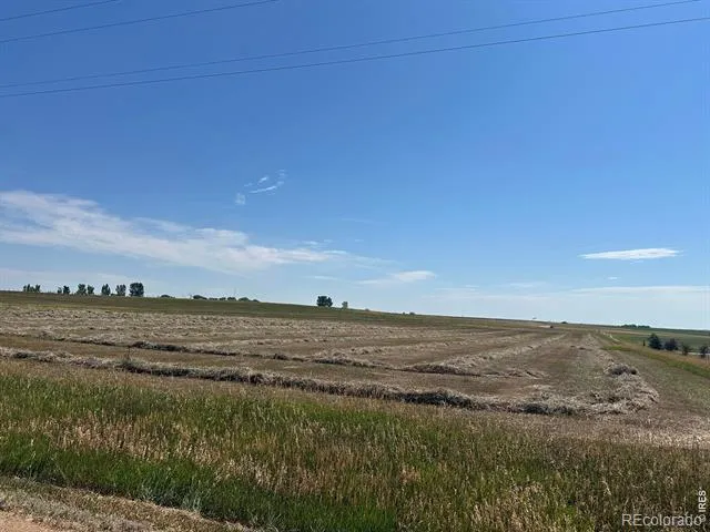 11256 County Road 13 Wellington, CO 80549