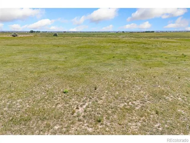 11256 County Road 13 Wellington, CO 80549