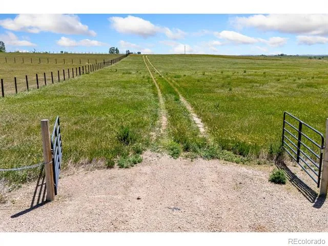11256 County Road 13 Wellington, CO 80549