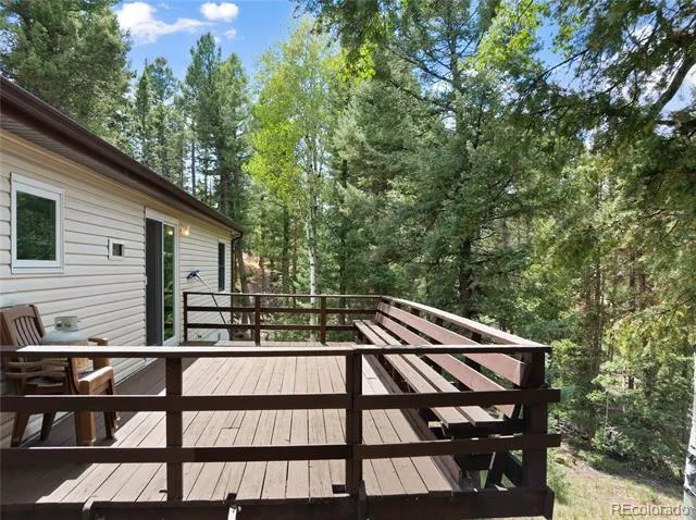 45 La Abu Trail Florissant, CO 80816