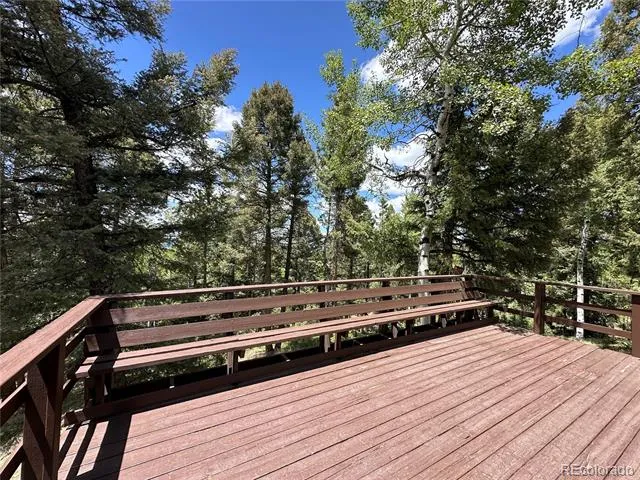 45 La Abu Trail Florissant, CO 80816