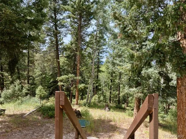 45 La Abu Trail Florissant, CO 80816