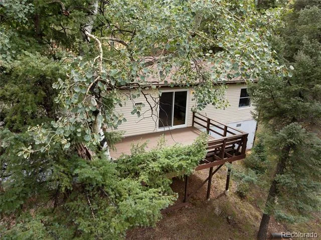 45 La Abu Trail Florissant, CO 80816