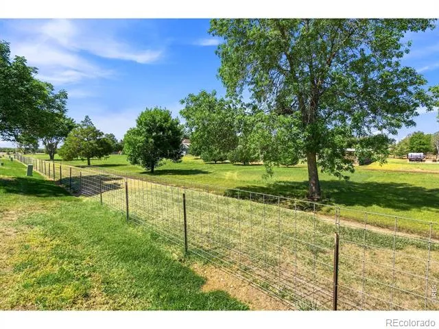 3711 Salida Court Evans, CO 80620