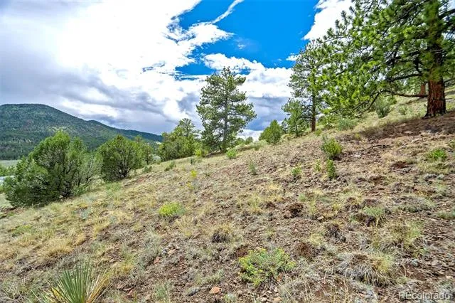 349 Post Road Guffey, CO 80820