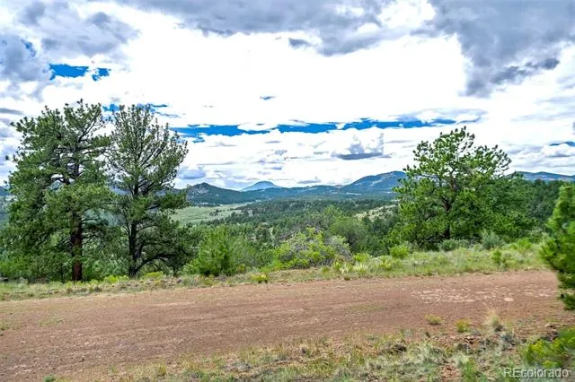 349 Post Road Guffey, CO 80820