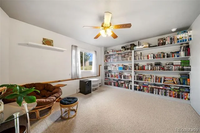 55 Crystal Peak Drive Lake George, CO 80827