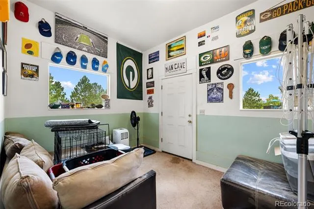 55 Crystal Peak Drive Lake George, CO 80827