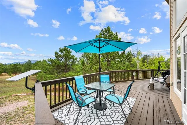 55 Crystal Peak Drive Lake George, CO 80827