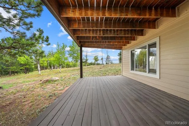 55 Crystal Peak Drive Lake George, CO 80827