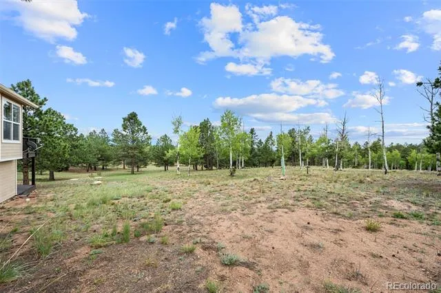 55 Crystal Peak Drive Lake George, CO 80827