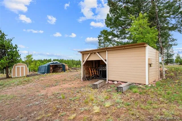 55 Crystal Peak Drive Lake George, CO 80827