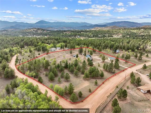 55 Crystal Peak Drive Lake George, CO 80827