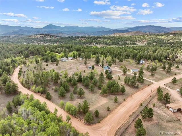 55 Crystal Peak Drive Lake George, CO 80827