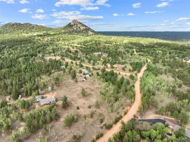 55 Crystal Peak Drive Lake George, CO 80827