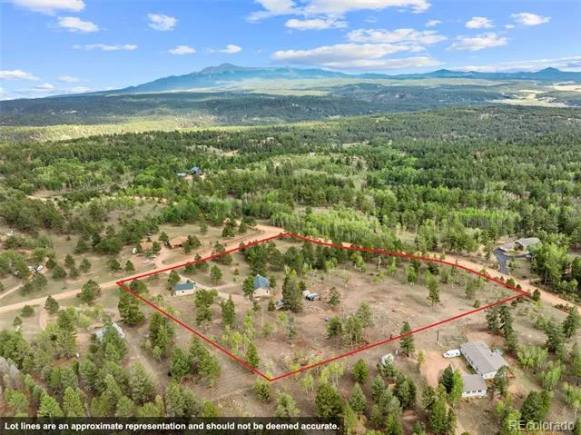 55 Crystal Peak Drive Lake George, CO 80827