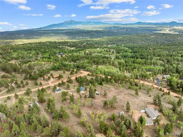 55 Crystal Peak Drive Lake George, CO 80827