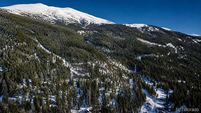 940 Lewsader Road Alma, CO 80420